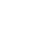 ico-100-transportes-economicos