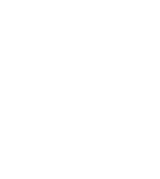 ico-flota-transportes-economicos